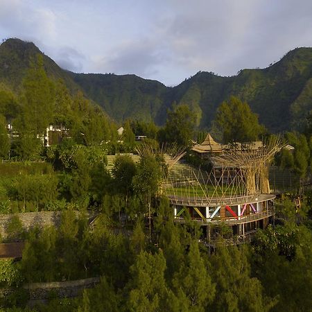 Pagupon Bromo Budget Lodge Екстер'єр фото